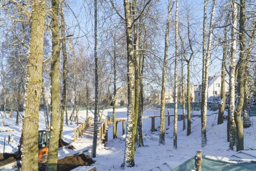 Park przy Gdańskiej "Małpi Gaj" - ścieżki zjazdowe