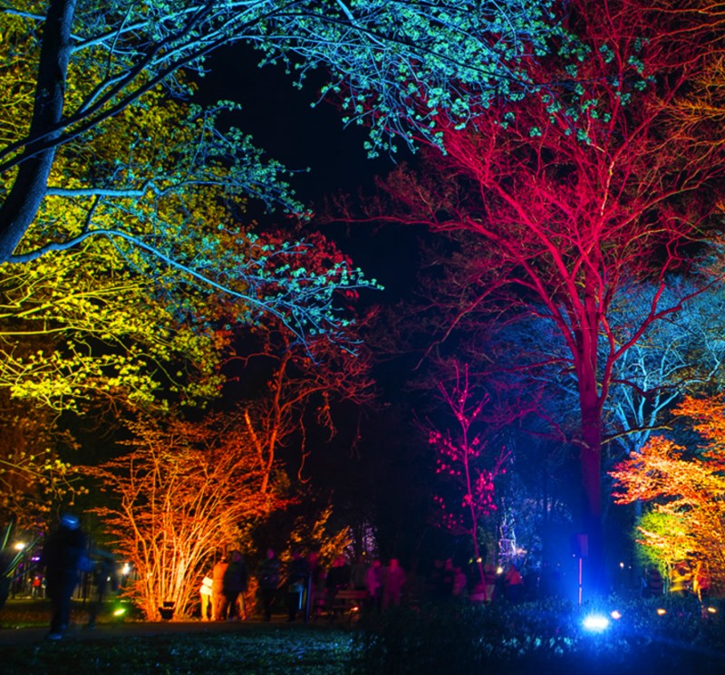 Park Światła w Małpim Gaju